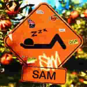 SAM
