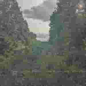 Mechanism of Orphaned Hypothetical Narratives