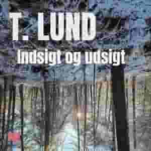 Indsigt og udsigt