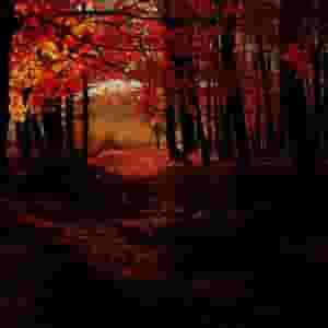 Autumn Pack