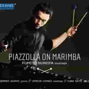 Piazzolla on Marimba