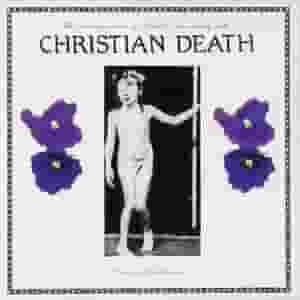 The Decomposition Of Violets