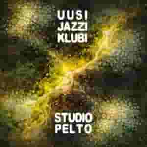 at Studio Pelto