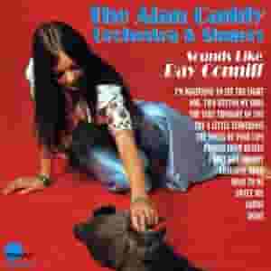 Sounds Like Ray Conniff
