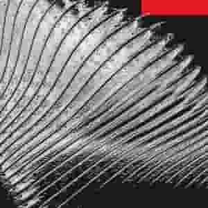 Fragments of Modular Mind