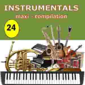 Instrumentals Maxi-Compilation 24