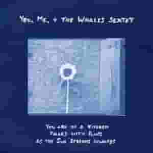 You are in a Kitchen Filled with Plants as the Sun Streams Inwards