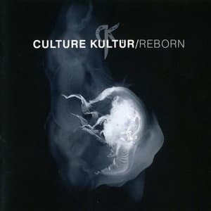 Reborn