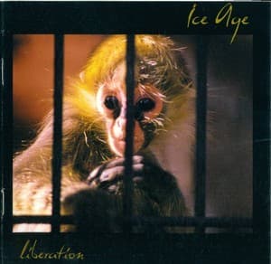 Liberation