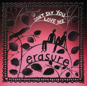 Don't Say You Love Me