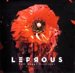 Tall Poppy Syndrome