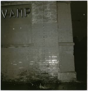 Vamp