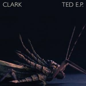 Ted