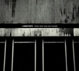 Where Once Were Exit Wounds