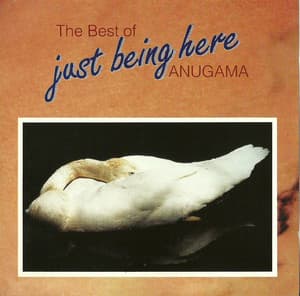 The Best Of Just Being Here