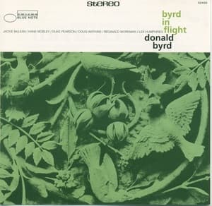 Byrd in Flight
