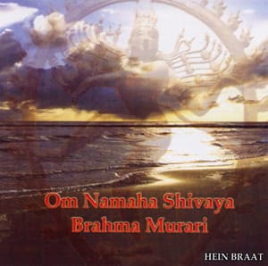 Om Namaha Shivaya - Brahma Murari