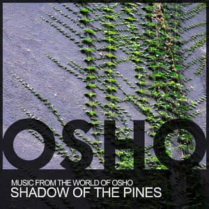 Shadow Of The Pines