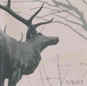 The Mantle