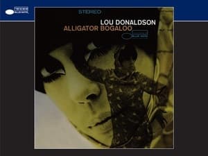 Alligator Bogaloo