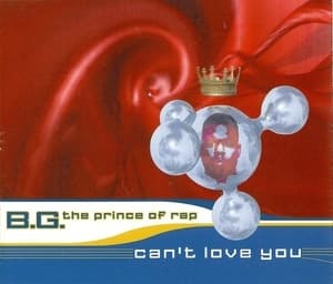 Can't Love You