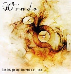 The Imaginary Direction Of Time