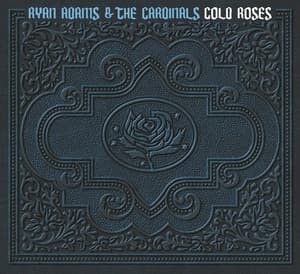 Cold Roses