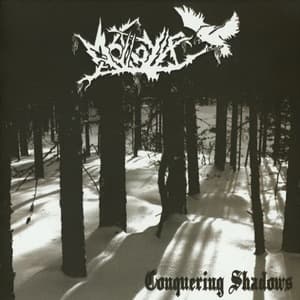 Conquering Shadows