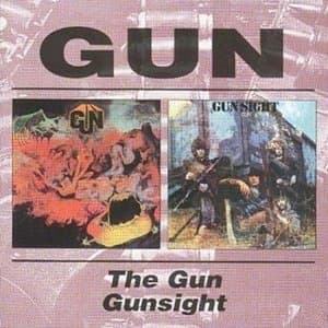 The Gun & Gunsight