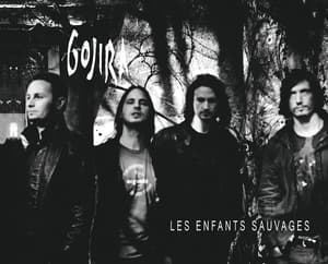 Les Enfants Sauvages (live At Brixton)