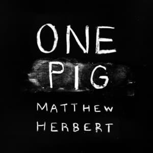 One Pig