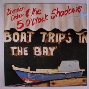Boat Trips In The Bay