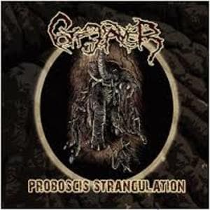 Proboscis Strangulation