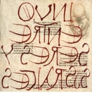 Entre Seres Y Sus Raices (2CD)