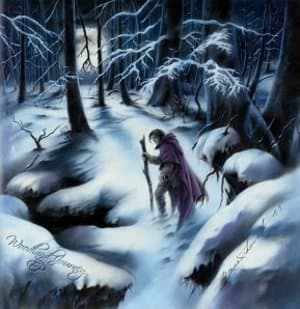 Woodland Journey
