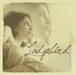 Ladybird