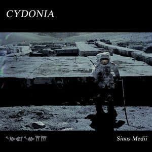 Sinus Medii