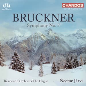 Symphony No. 5 (Neeme Järvi)