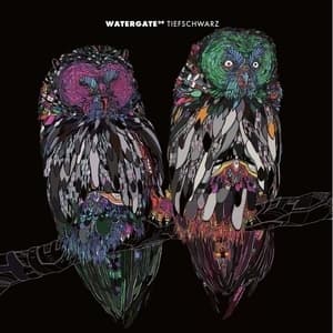 Watergate 09