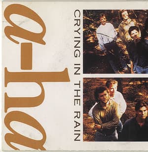Crying In The Rain [CDS]