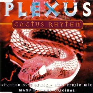 Cactus Rhythm