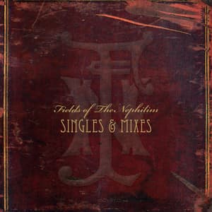 Singles And Mixes