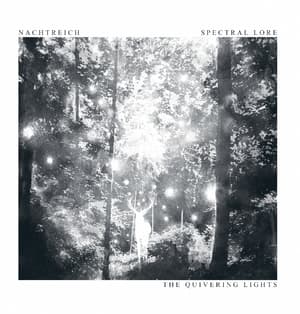 The Quivering Lights