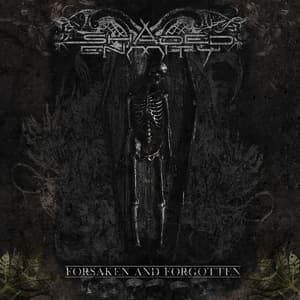 Forsaken And Forgotten