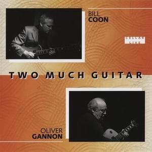 Two Much Guitar