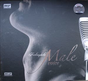Audiophile Male Voice