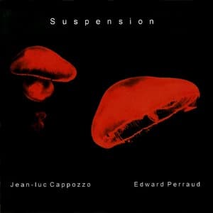 Suspension