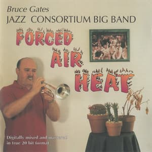 Forced Air Heat