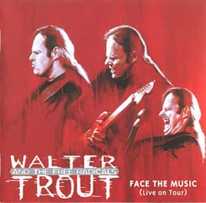 Face The Music (Live On Tour)