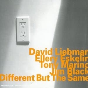 Different But The Same
